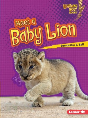cover image of Meet a Baby Lion